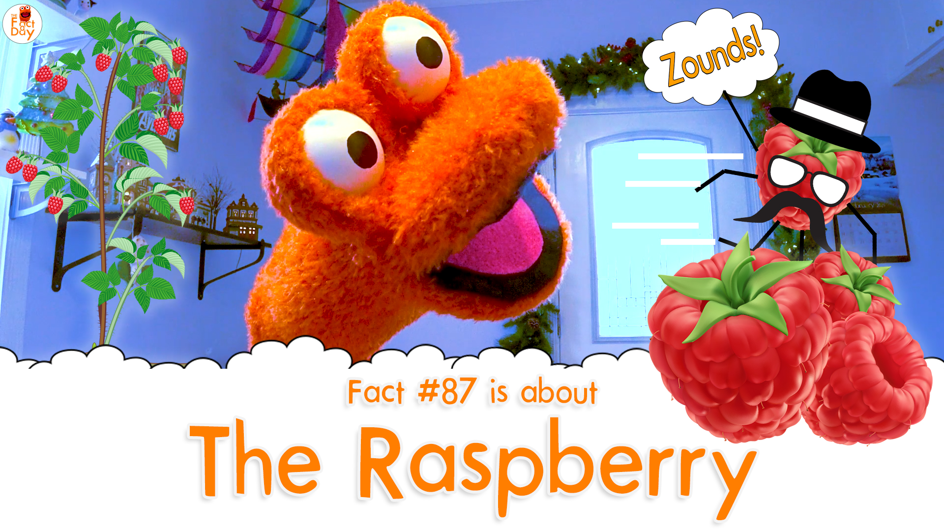 raspberry-archives-the-fact-a-day