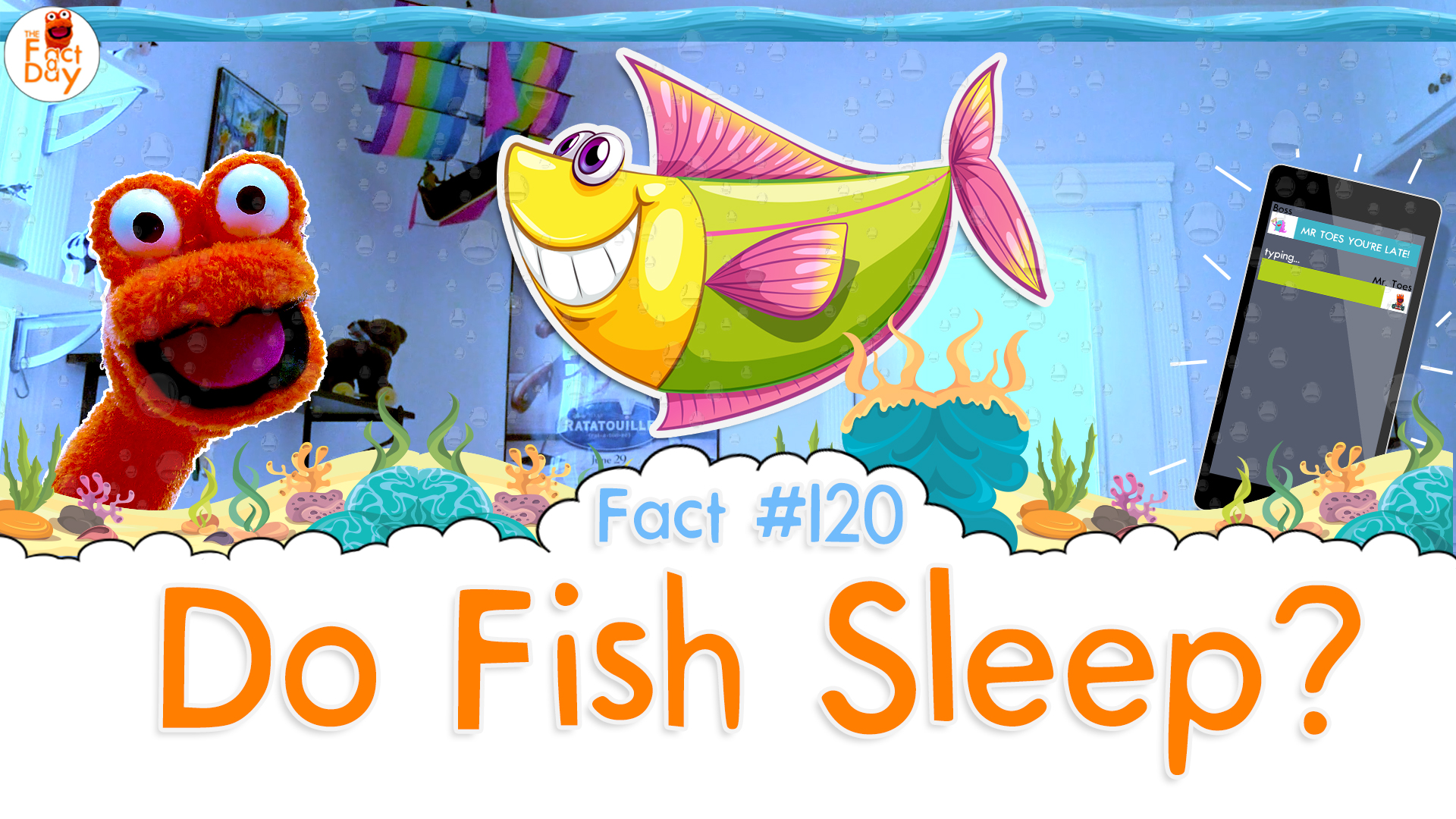Do Fish Sleep?