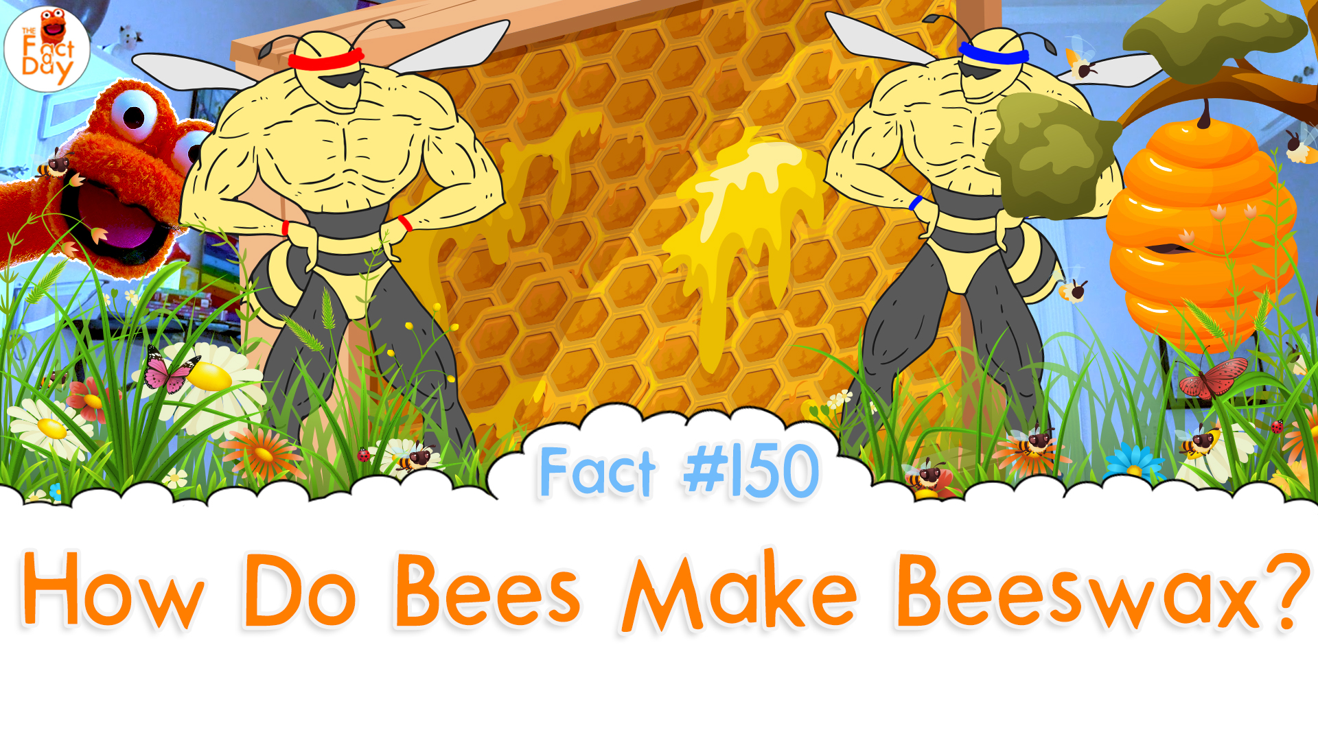 how-do-bees-make-beeswax-the-fact-a-day-150-the-fact-a-day